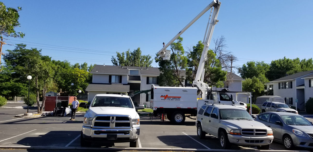 Pruning trees at one of the many apartment complexes we are responsible for.